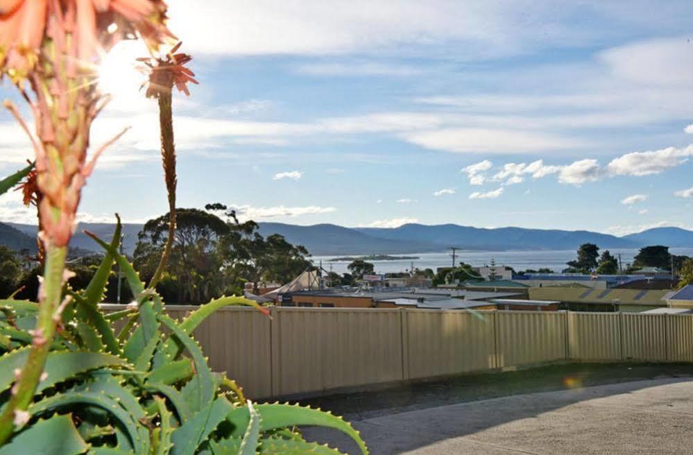 Bicheno Backpackers&Budget alojamiento Exterior foto